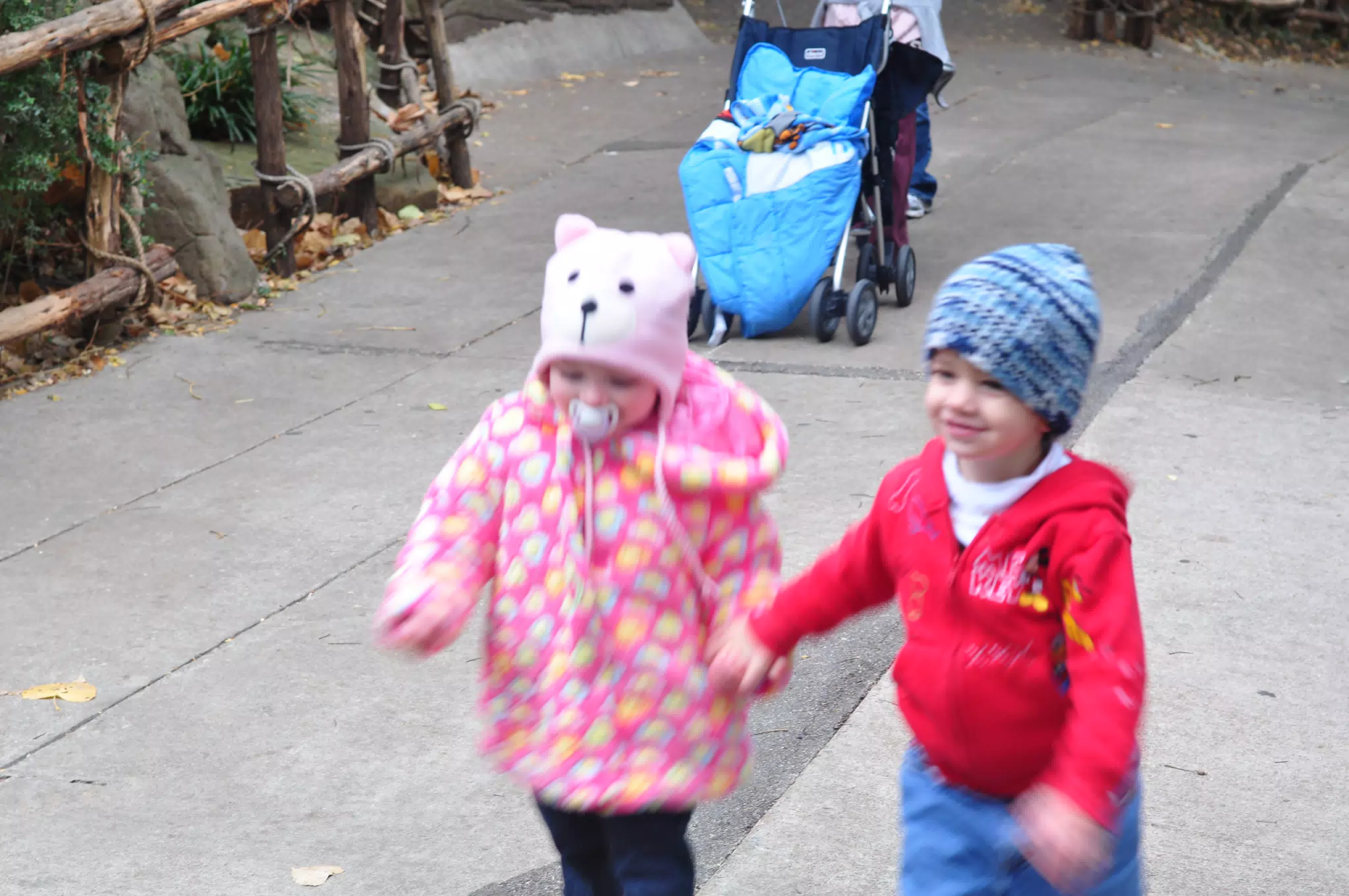 Liesl and Garrett Holding Hands at the Fort Worth Zoo