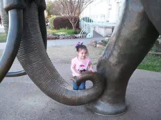 Liesl Climbing the Mammoth