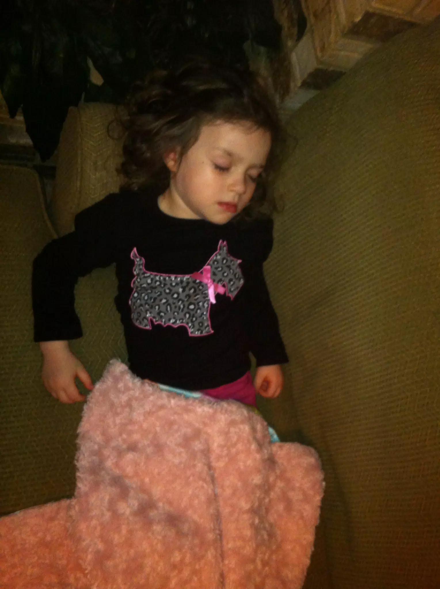 Sleeping Liesl