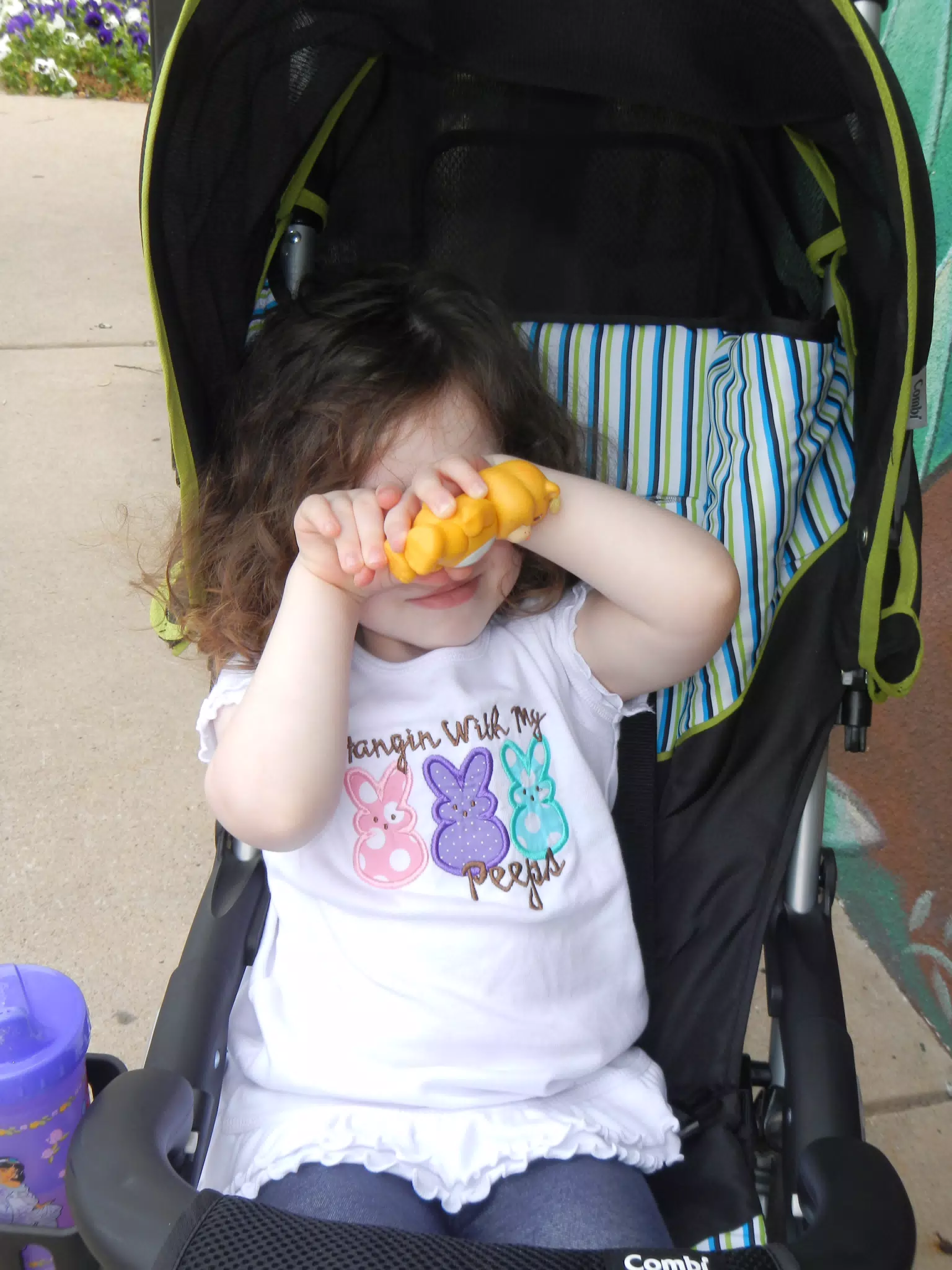 Liesl in New Stroller
