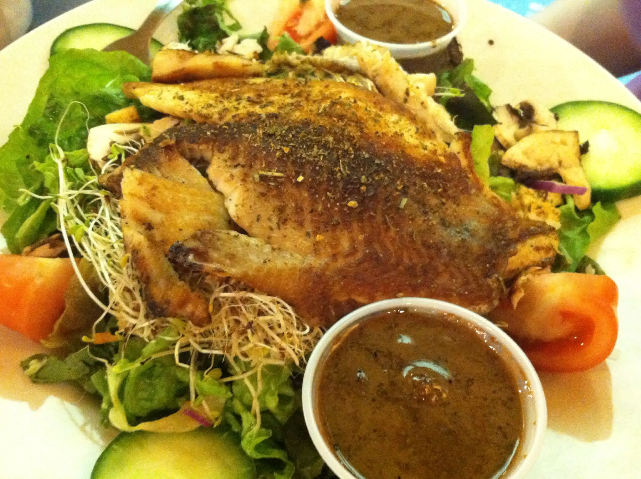 Tilapa Salad at Cafe Brazil