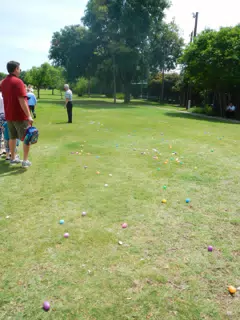 Eggs at Brookhaven