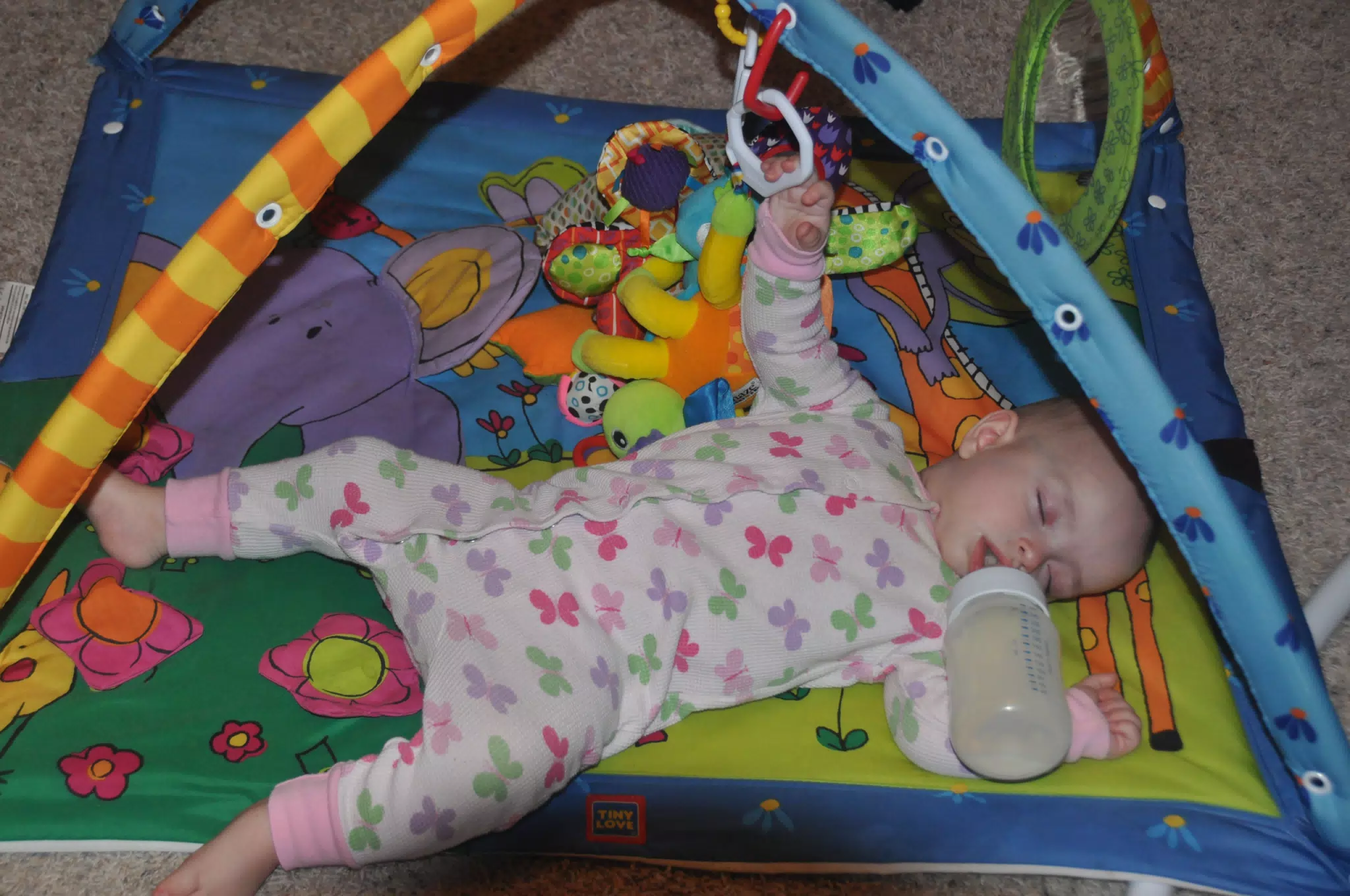 Luciana Asleep on Her Mat