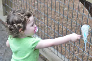 Liesl Feeding a Bird at the Fort Worth Zoo