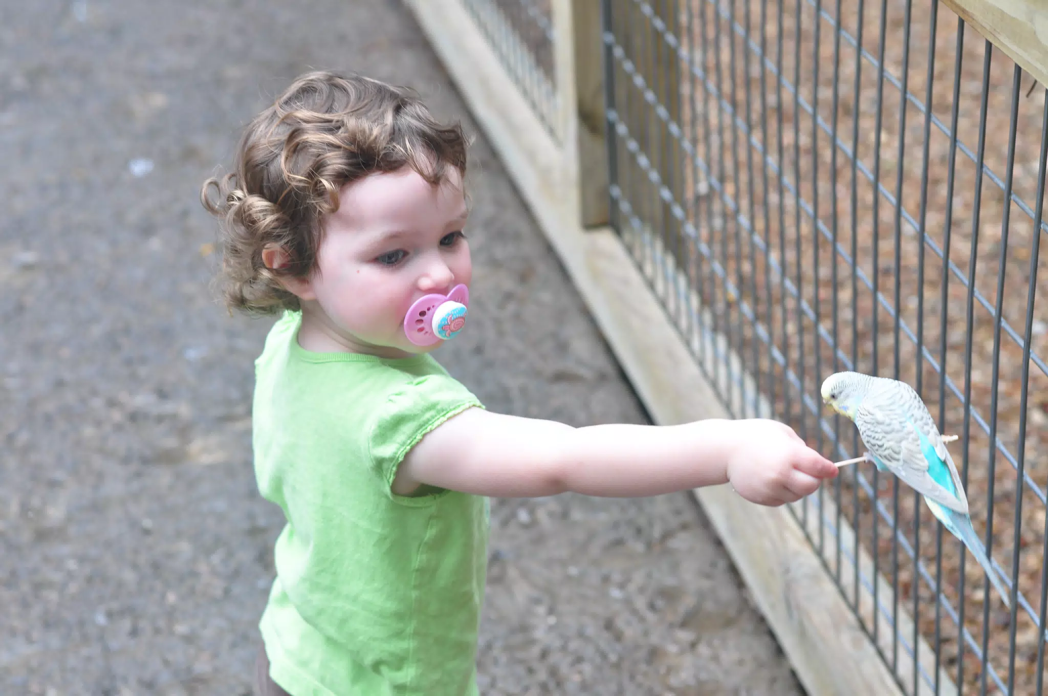 Liesl Feeding a Bird at the Fort Worth Zoo