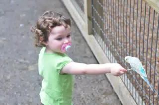 Liesl Feeding a Bird at the Fort Worth Zoo