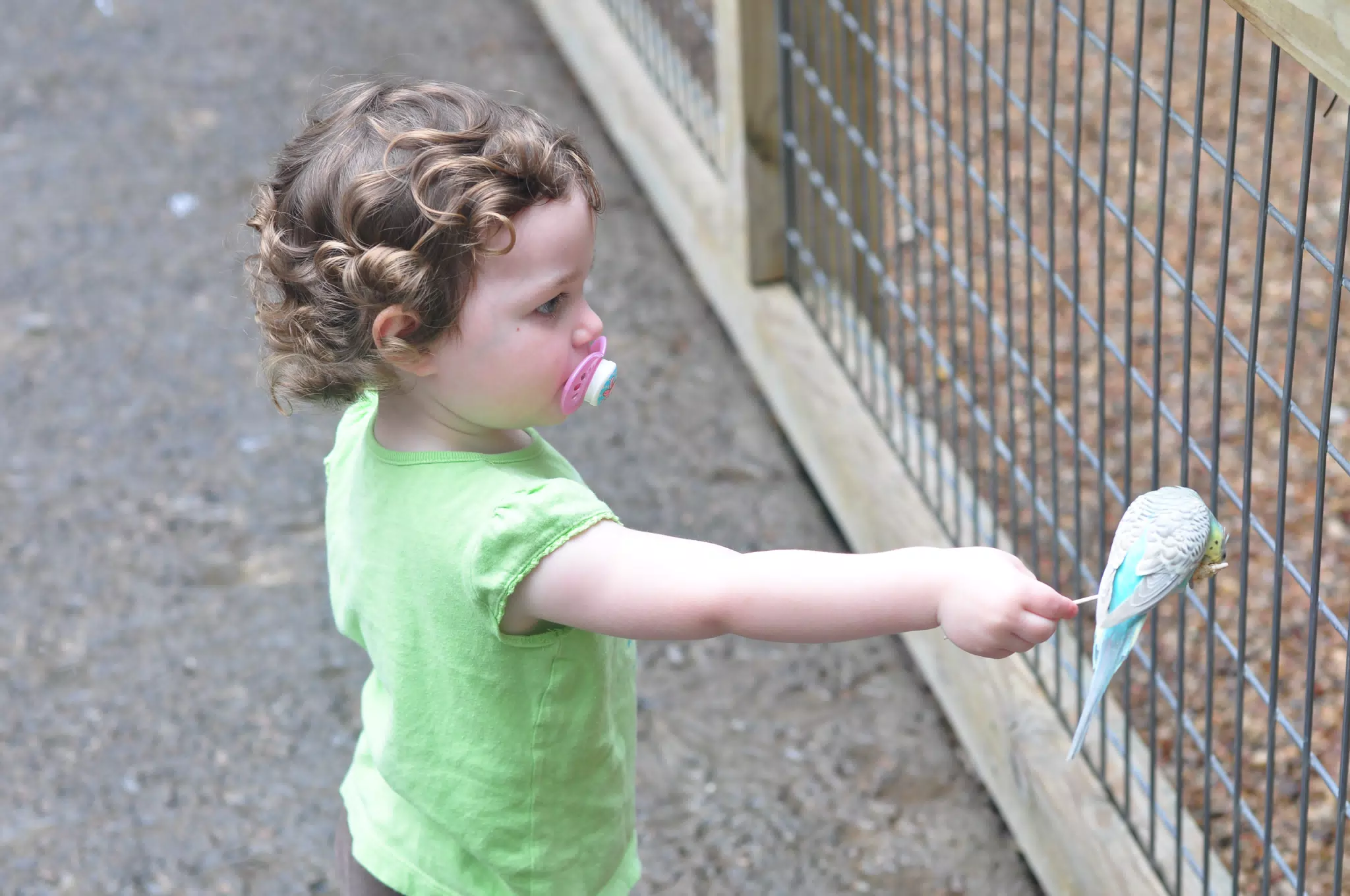 Liesl Feeding a Bird at the Fort Worth Zoo