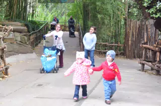 Cousins Holding Hands at the Fort Worth Zoo