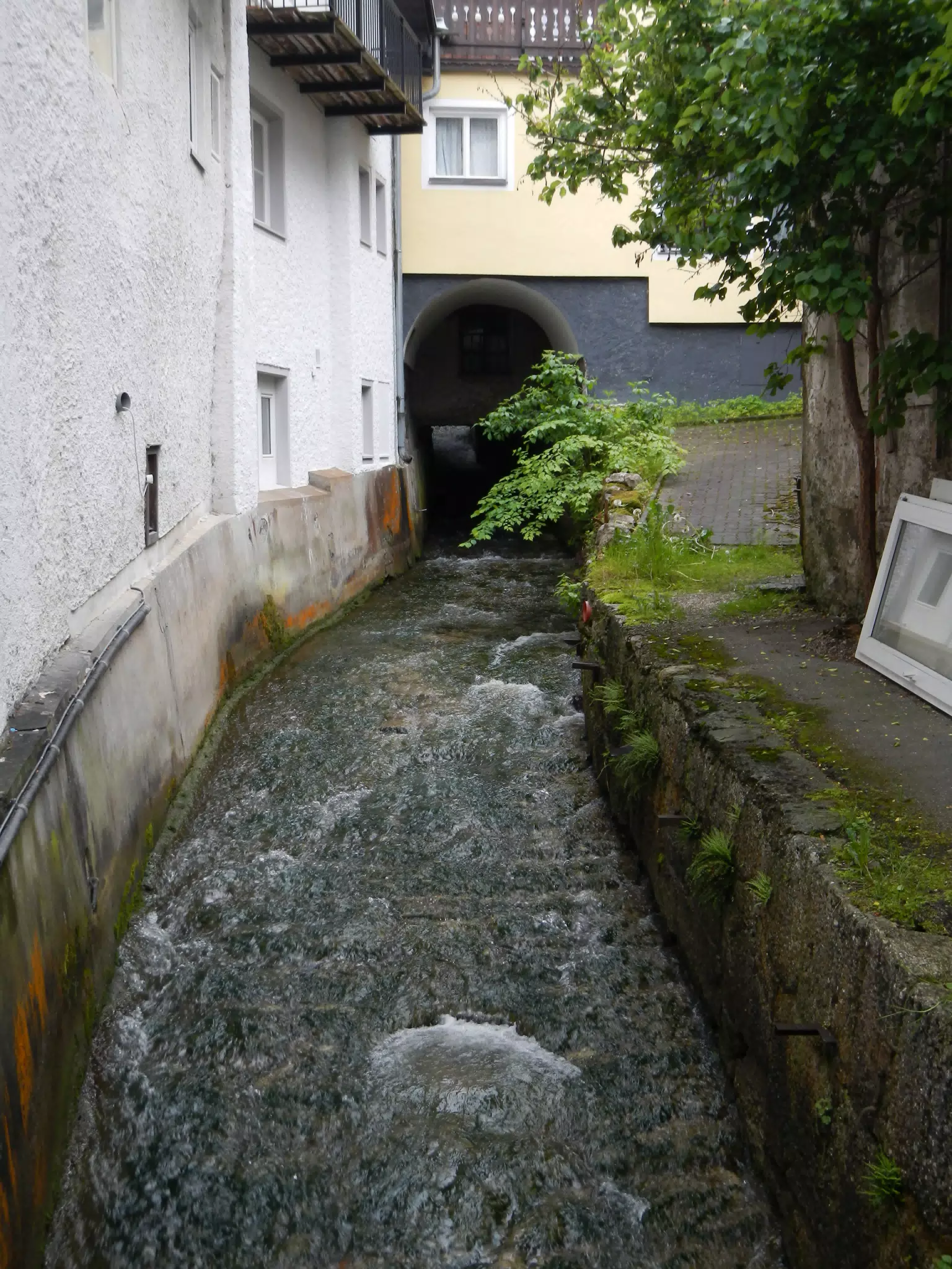 DSCN1584