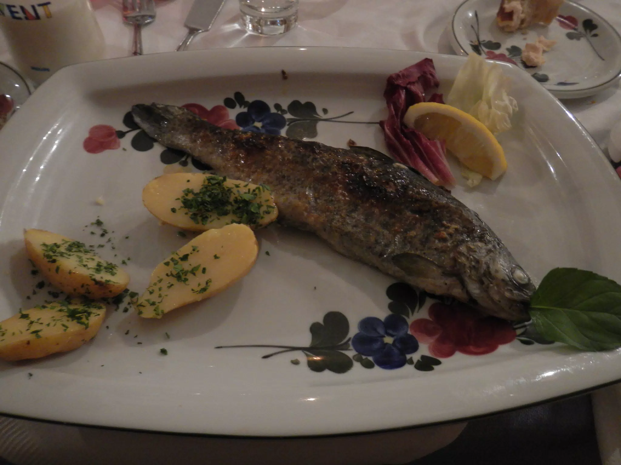 Trout in Hallstatt