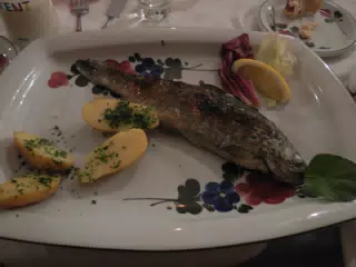 Trout in Hallstatt