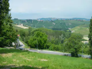 DSCN2049
