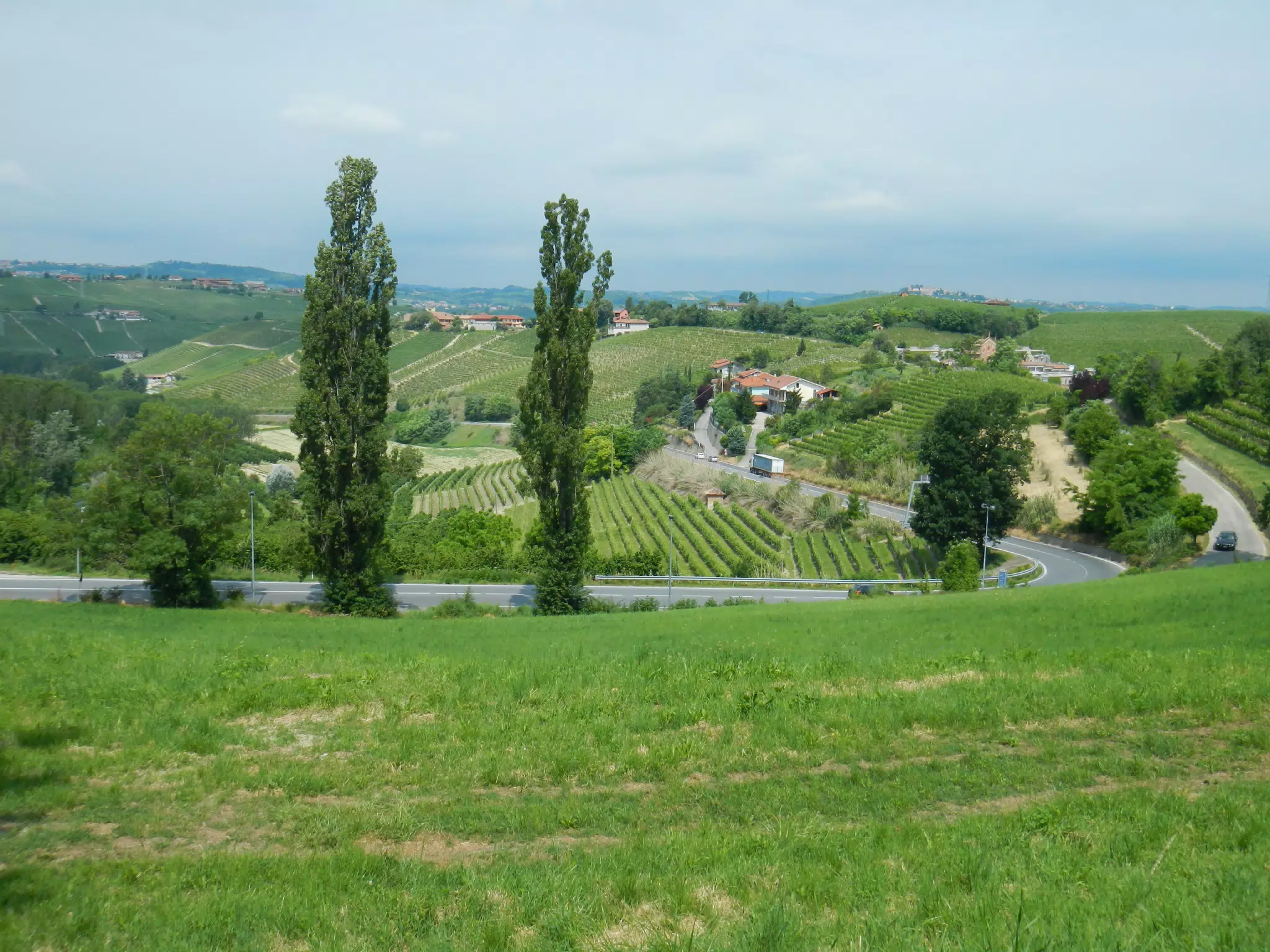 DSCN2048