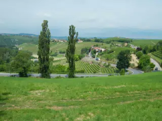 DSCN2048