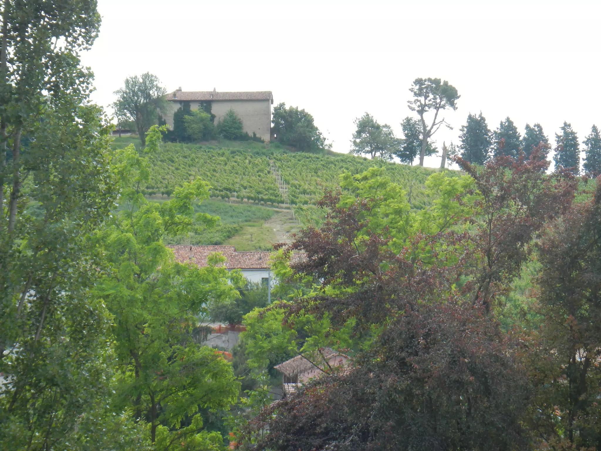 DSCN2043