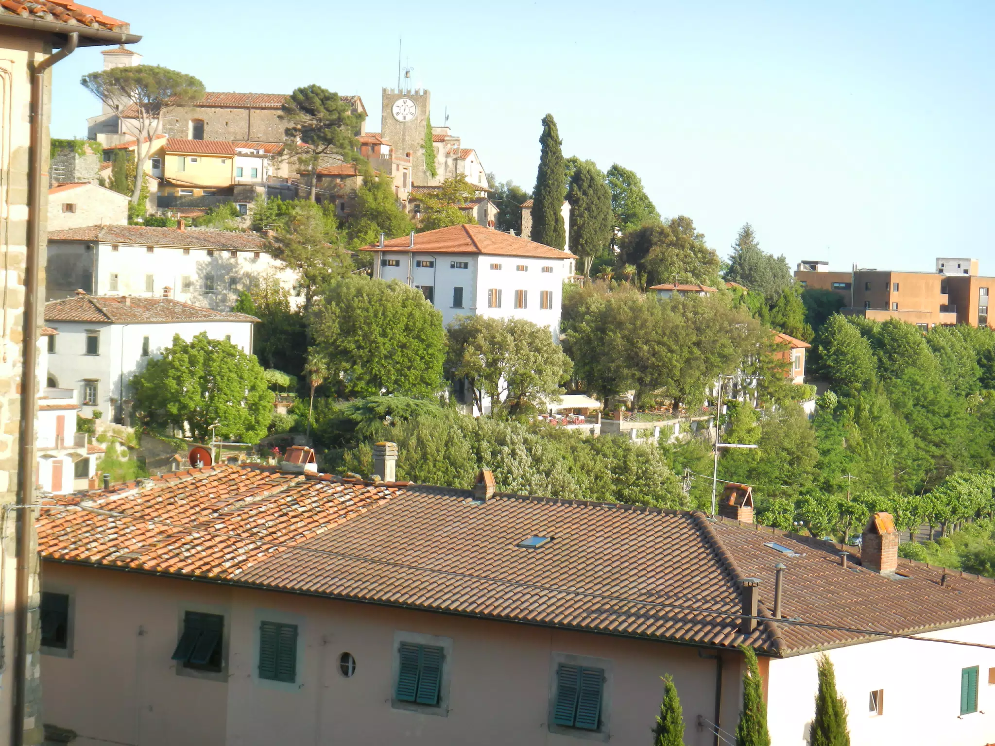 DSCN2020