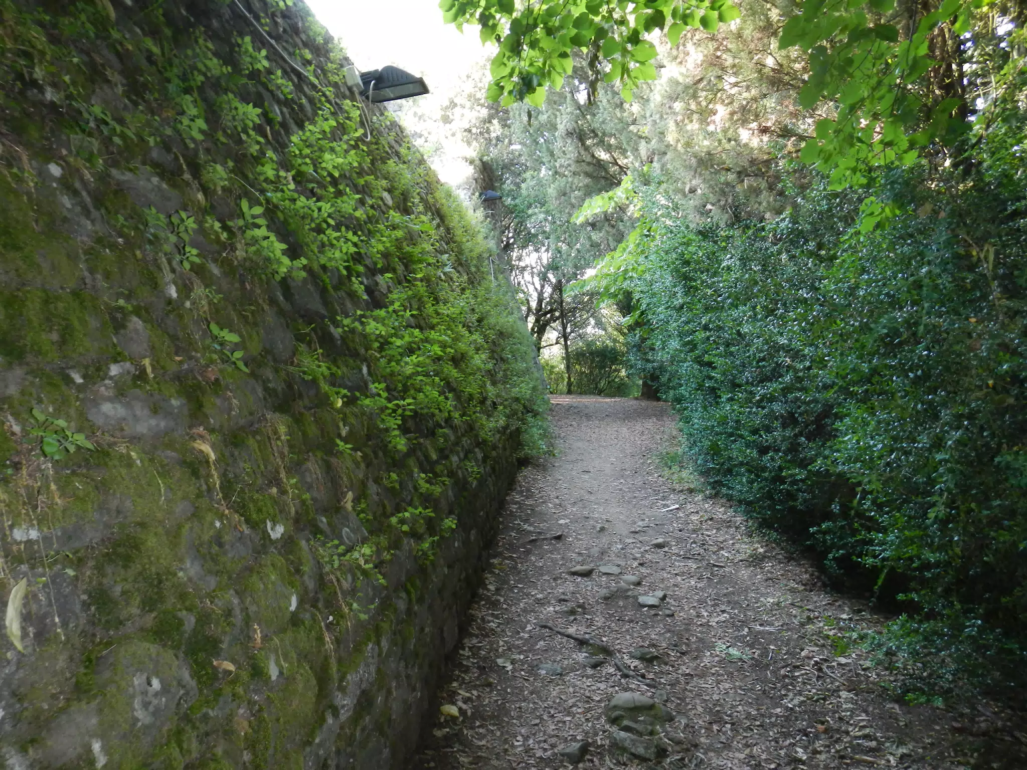 DSCN2014