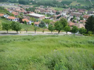 DSCN2103