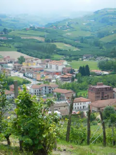 DSCN2099