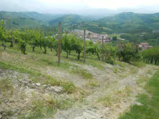 DSCN2098