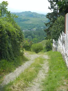 DSCN2097