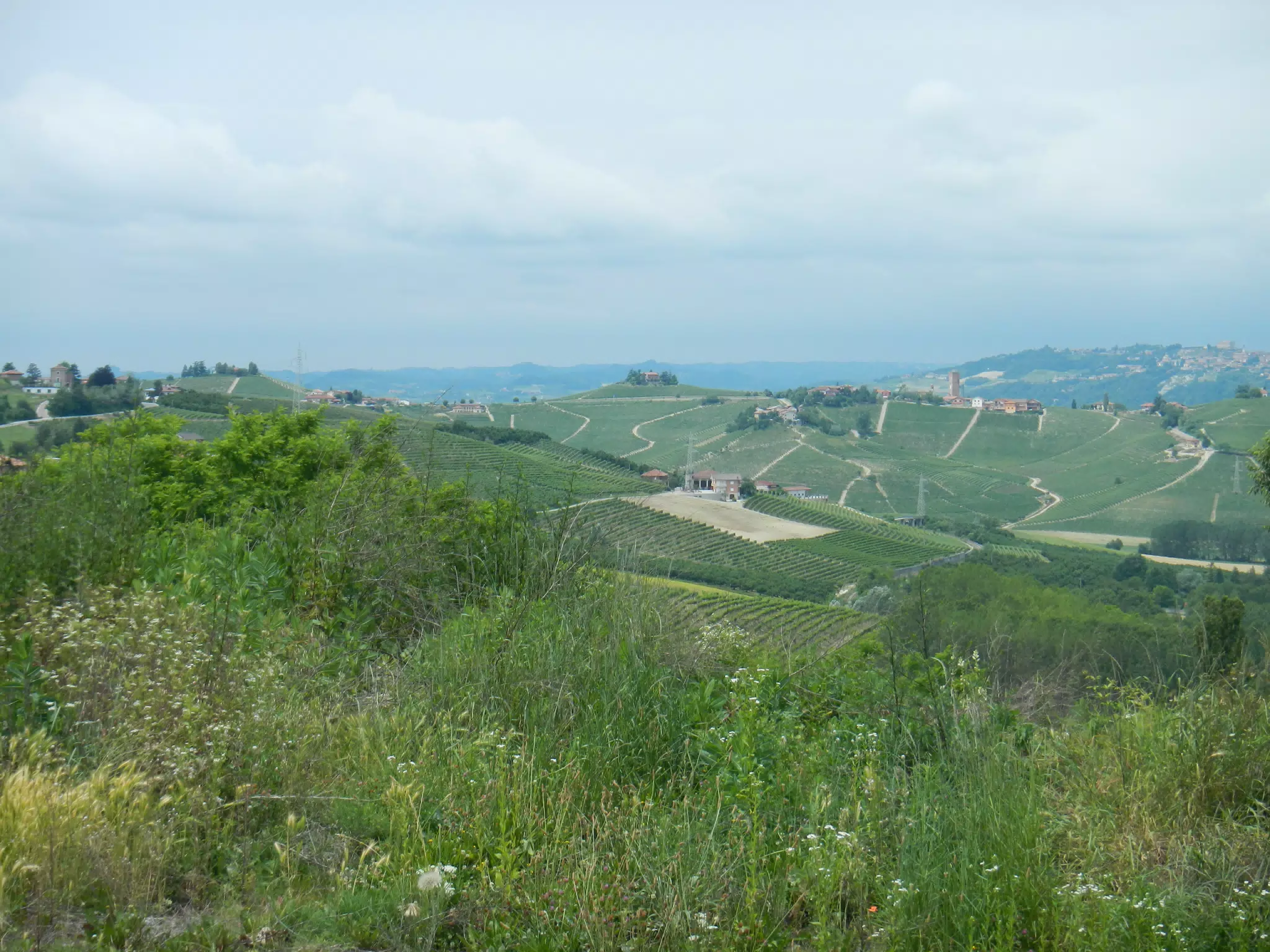 DSCN2096