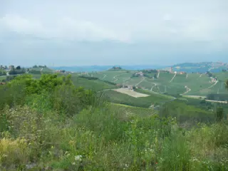 DSCN2096