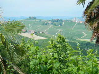DSCN2090