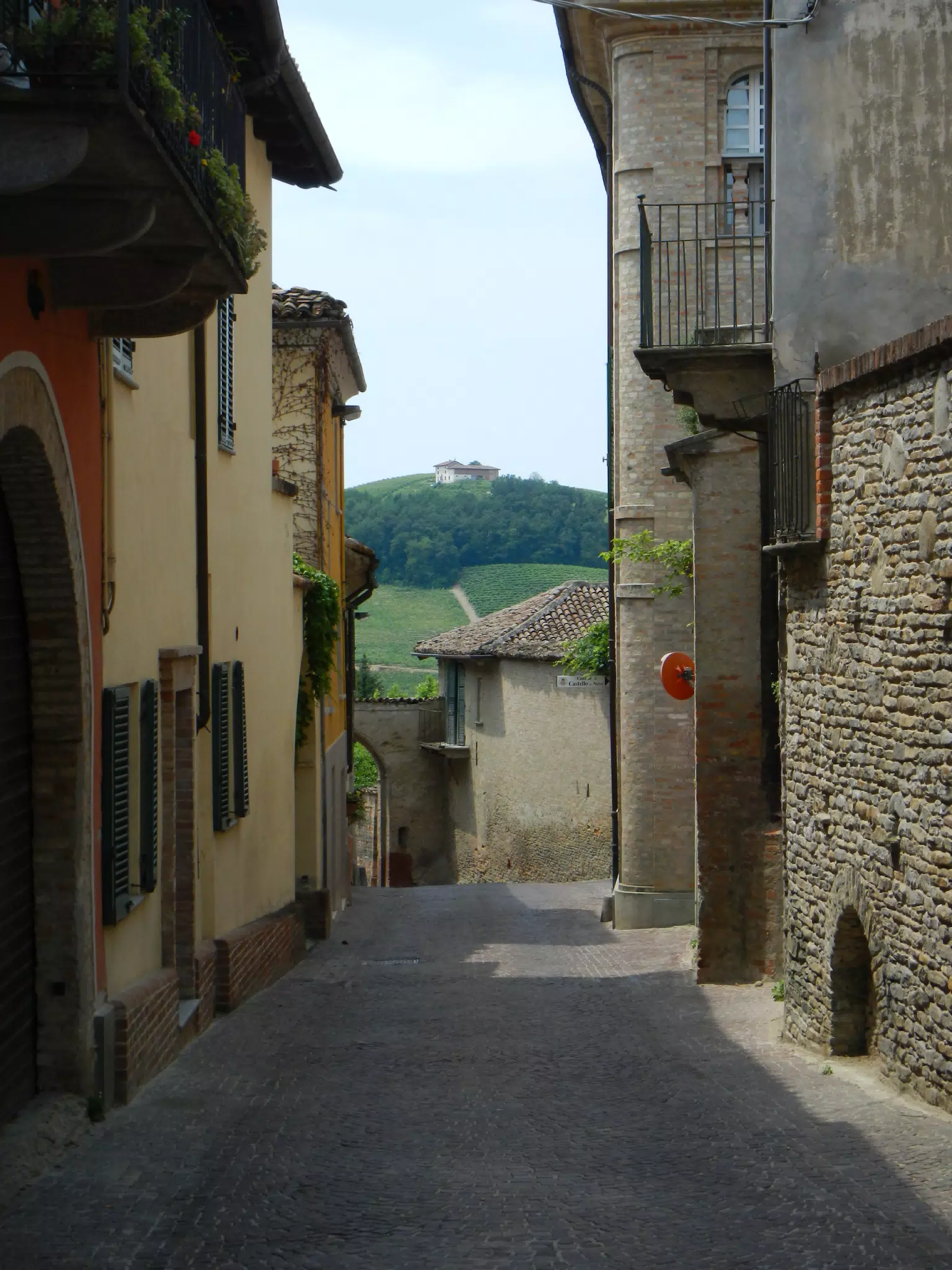 DSCN2081