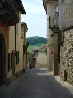 DSCN2081