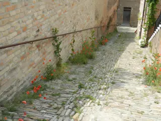 DSCN2076