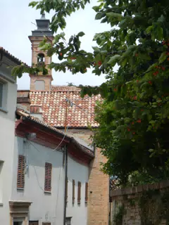DSCN2078