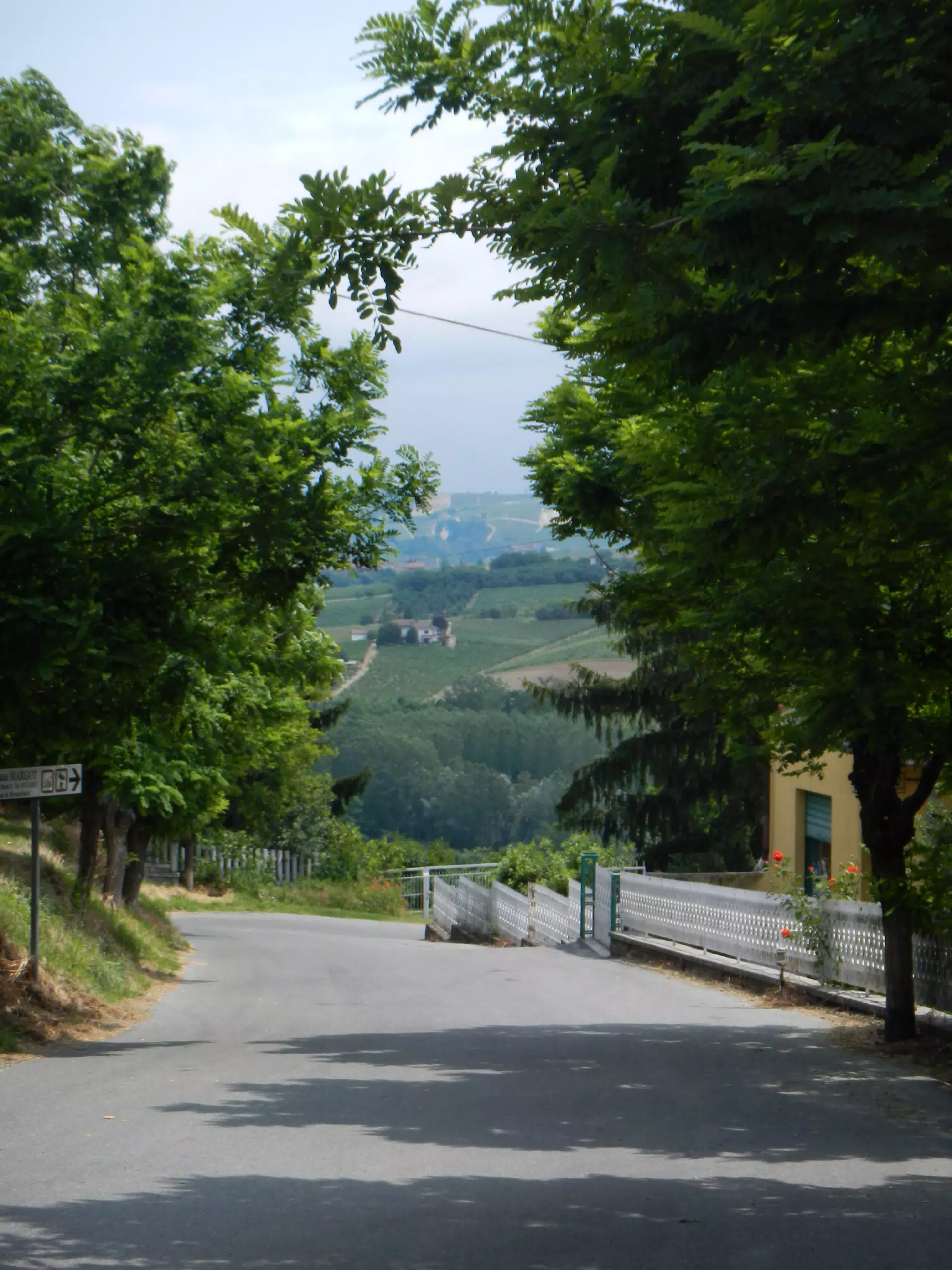 DSCN2110