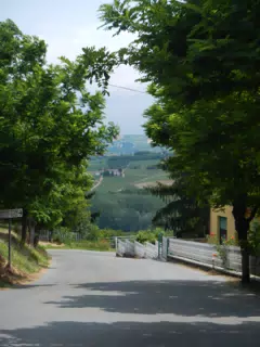 DSCN2110