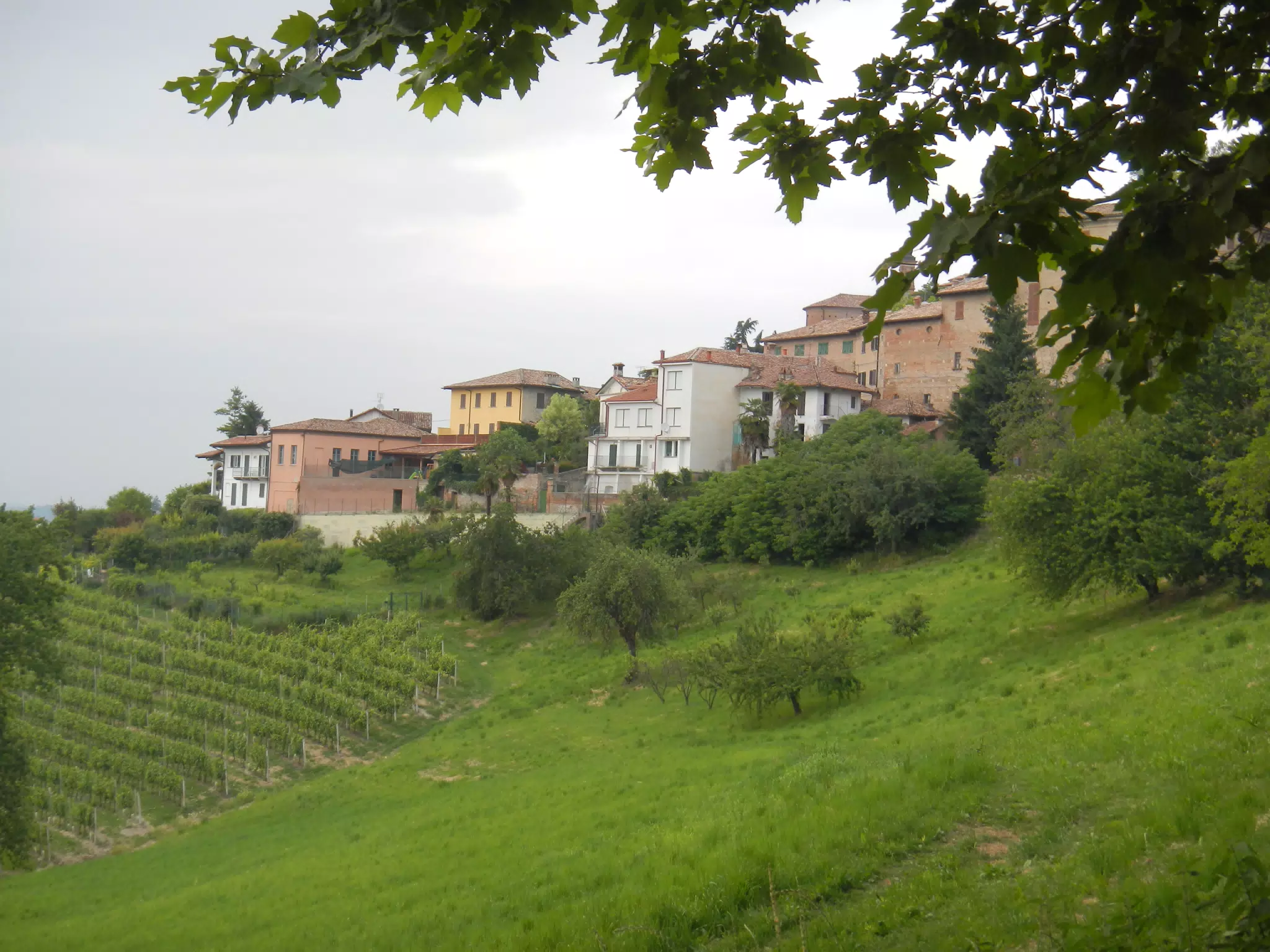 Neive, Piemonte