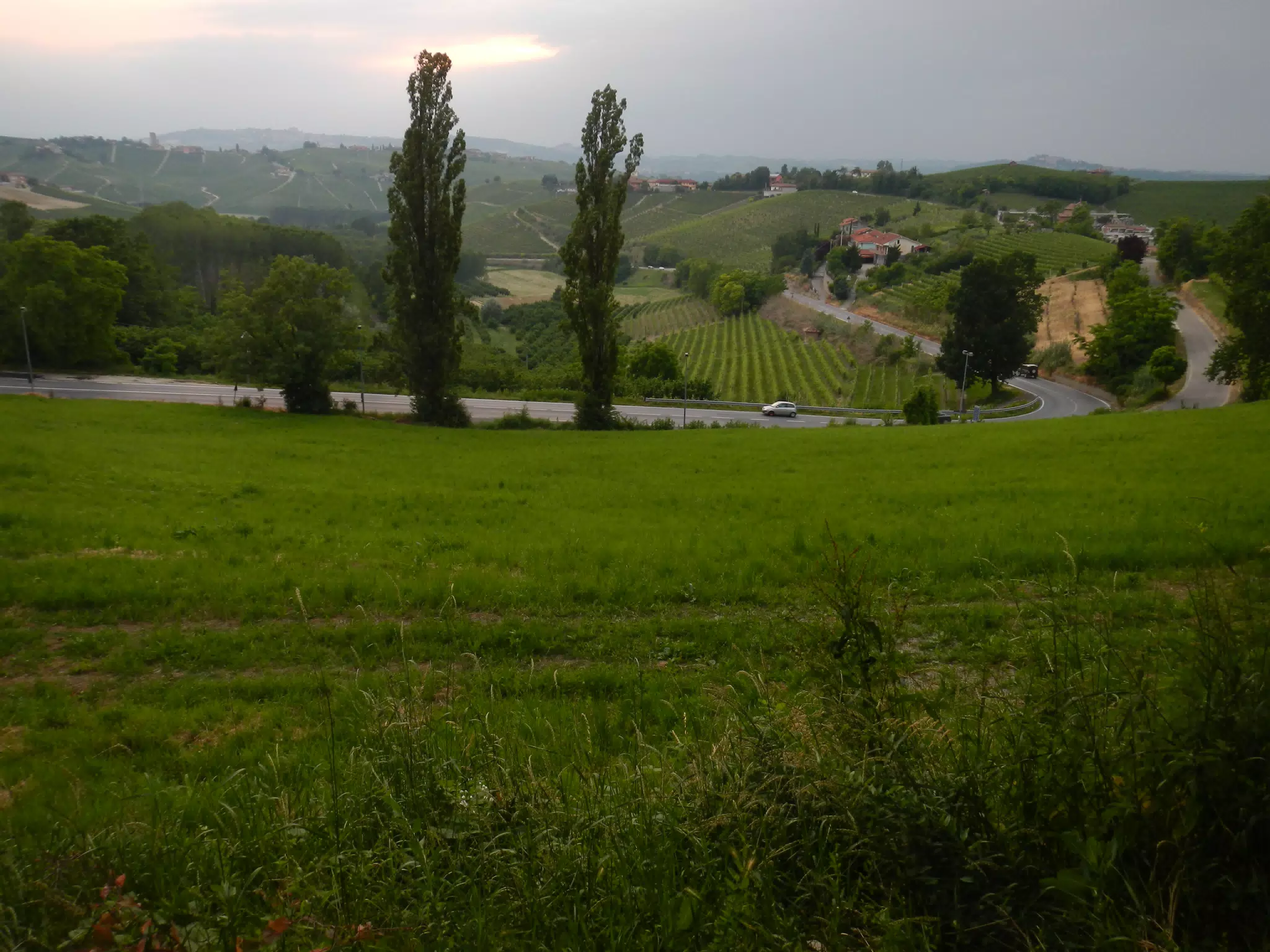 View from Neive, Piemonte