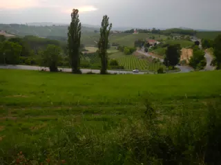 View from Neive, Piemonte