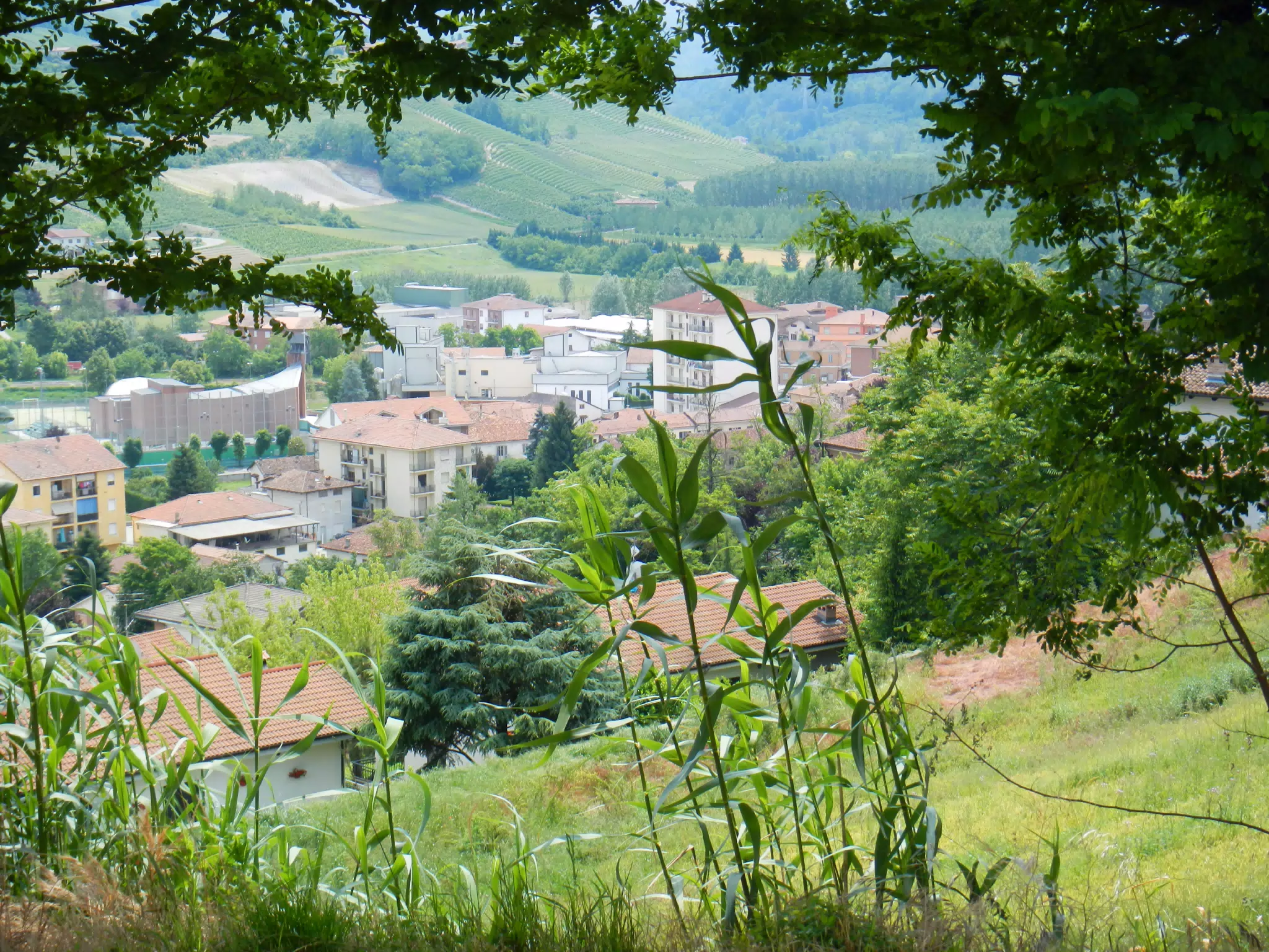 DSCN2112