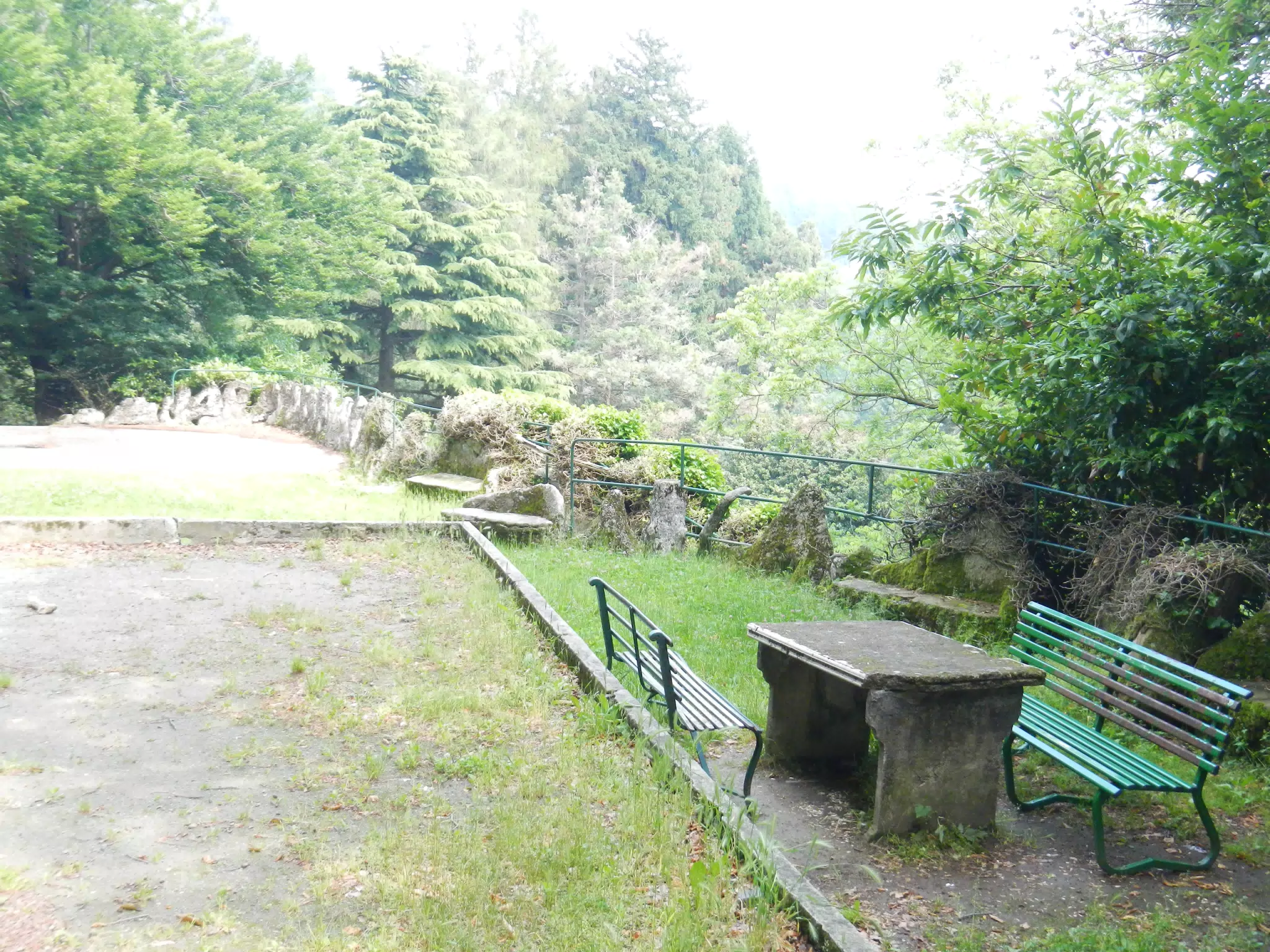 DSCN2175