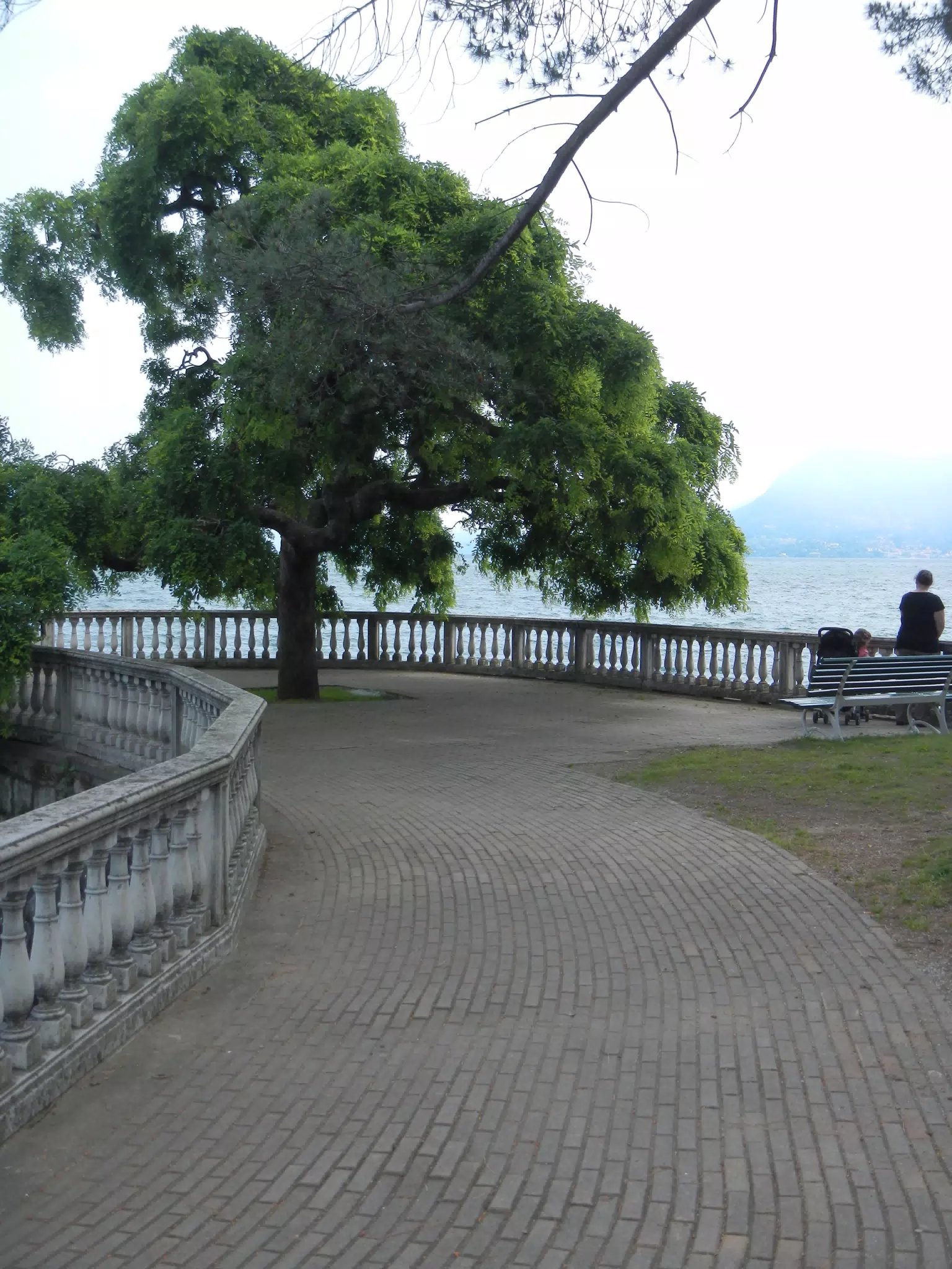 DSCN2149