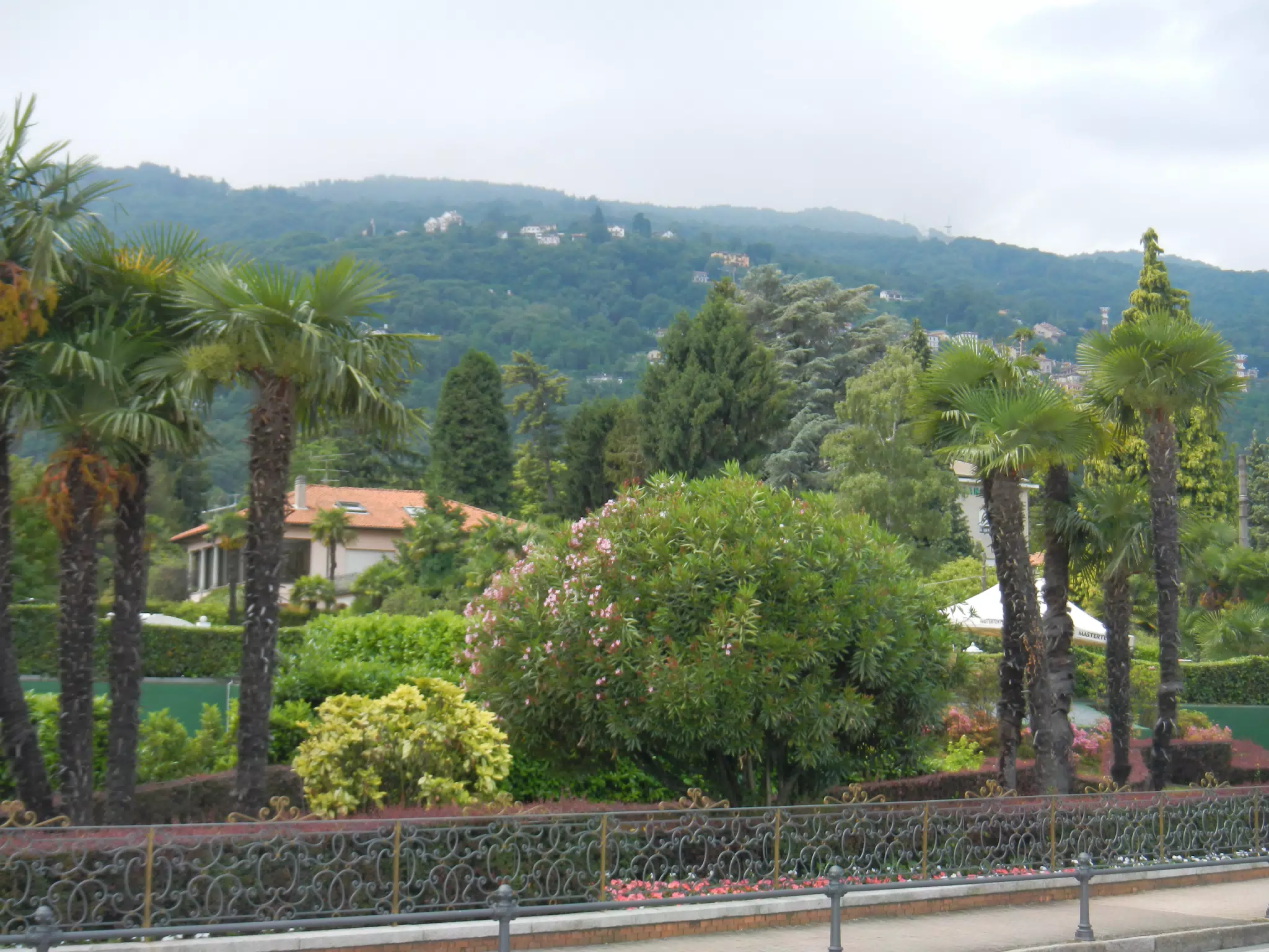 DSCN2146