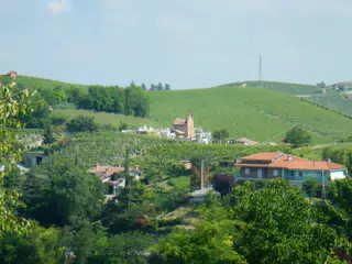 Cemetary in Neive from Hotel Villa Lauri