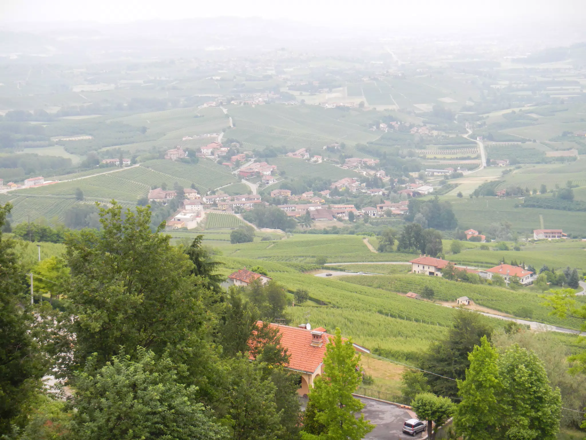 DSCN2229