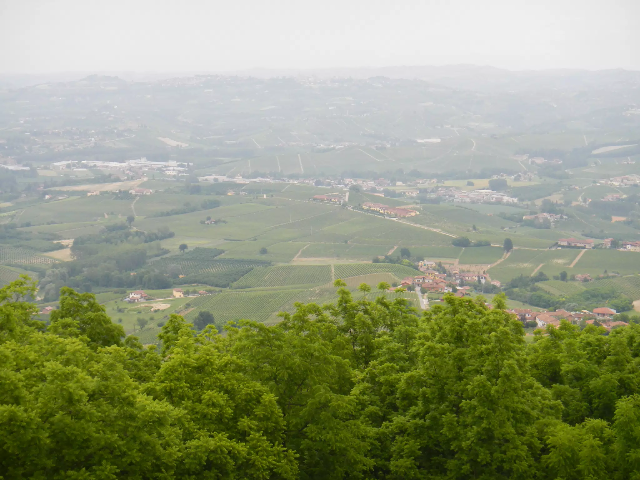 DSCN2228