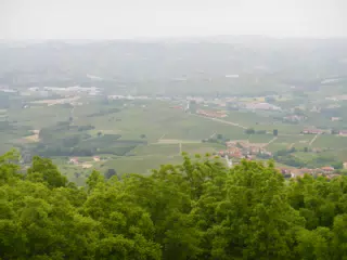 DSCN2228