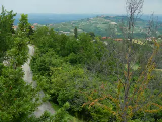 DSCN2212