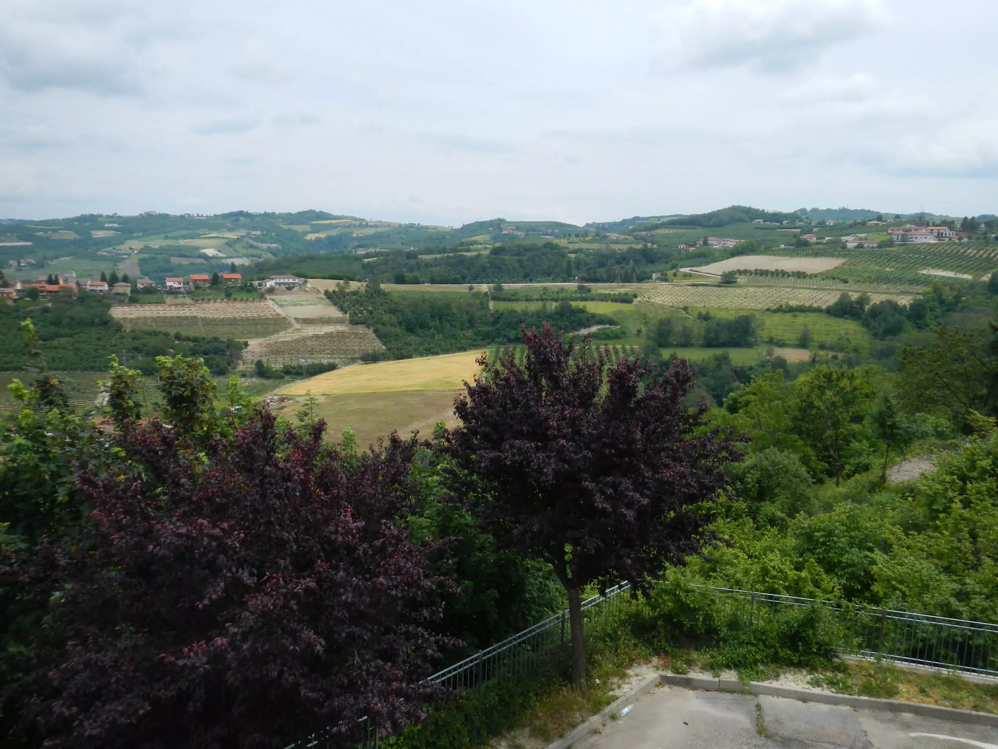 DSCN2210
