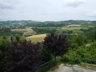 DSCN2210