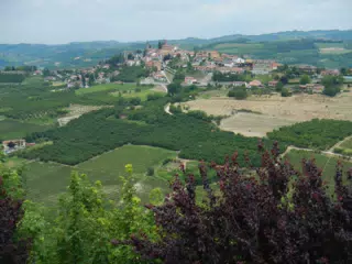 DSCN2208