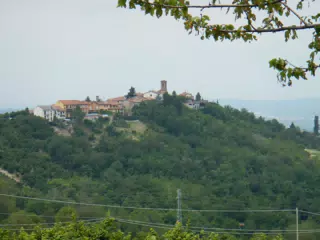 DSCN2203